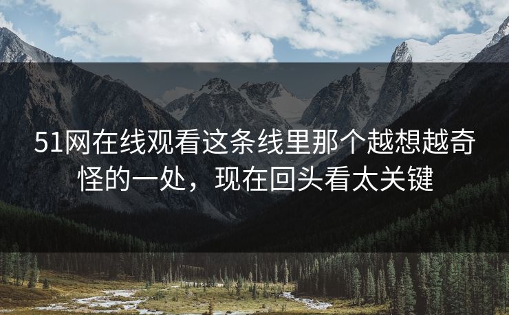 51网在线观看这条线里那个越想越奇怪的一处，现在回头看太关键