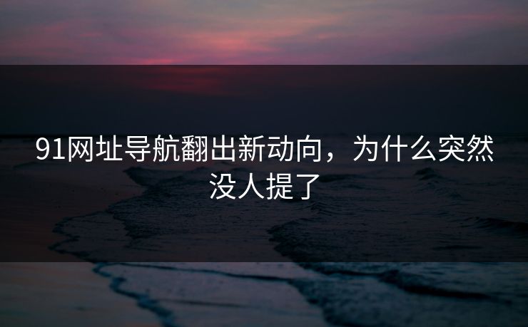 91网址导航翻出新动向，为什么突然没人提了