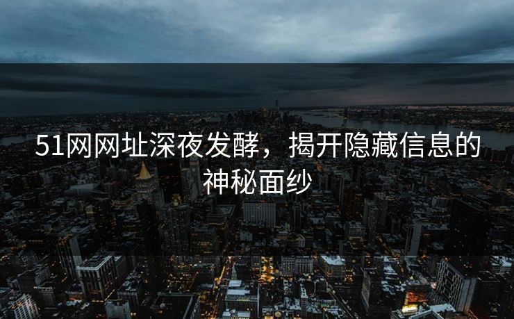 51网网址深夜发酵，揭开隐藏信息的神秘面纱