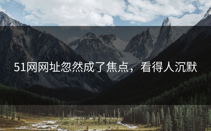 51网网址忽然成了焦点，看得人沉默
