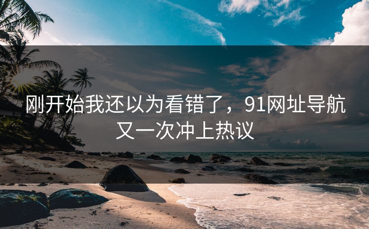 刚开始我还以为看错了，91网址导航又一次冲上热议