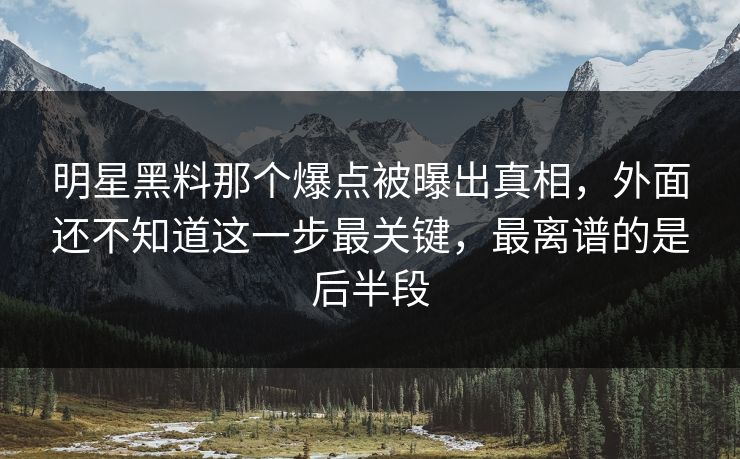 明星黑料那个爆点被曝出真相，外面还不知道这一步最关键，最离谱的是后半段