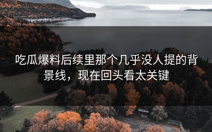 吃瓜爆料后续里那个几乎没人提的背景线，现在回头看太关键