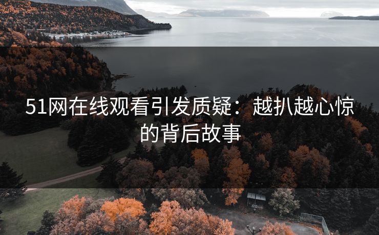 51网在线观看引发质疑：越扒越心惊的背后故事