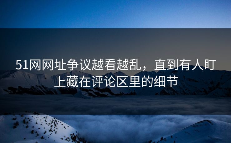 51网网址争议越看越乱，直到有人盯上藏在评论区里的细节