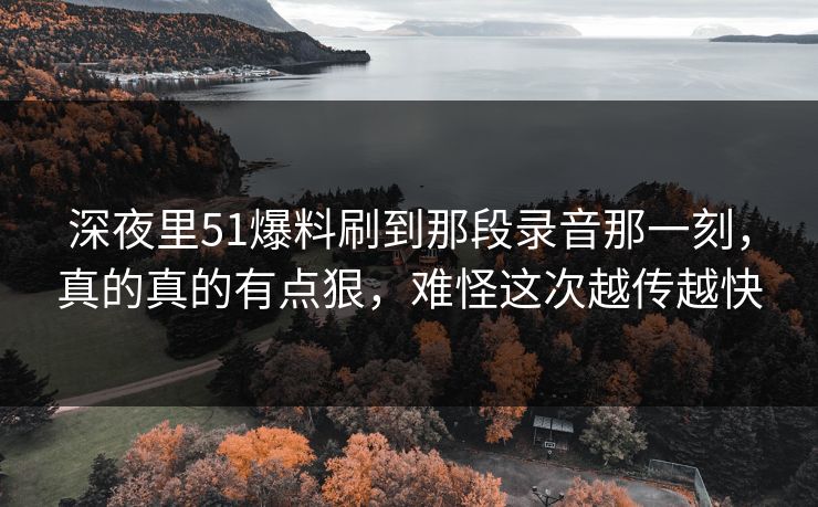 深夜里51爆料刷到那段录音那一刻,真的真的有点狠,难怪这次越传越快