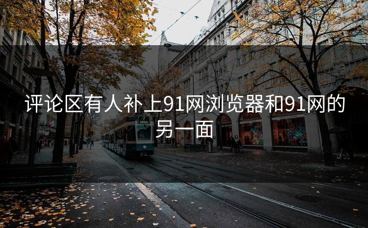 评论区有人补上91网浏览器和91网的另一面