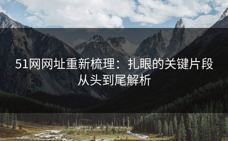 51网网址重新梳理：扎眼的关键片段从头到尾解析
