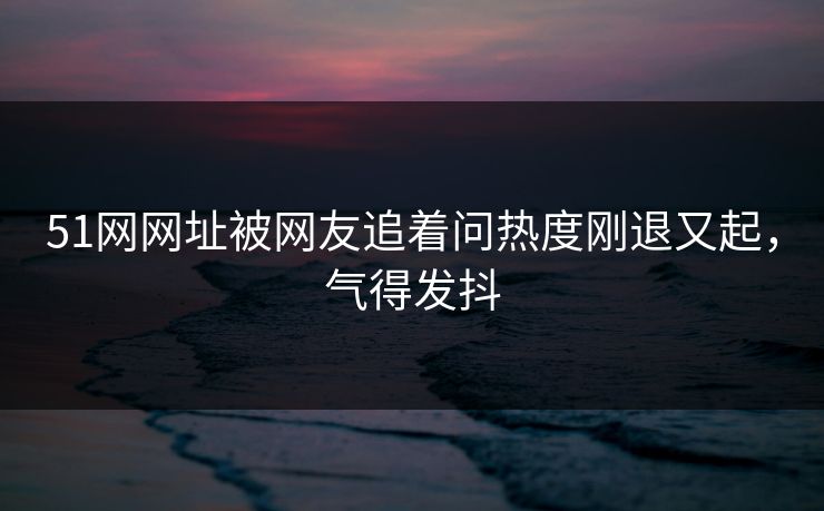 51网网址被网友追着问热度刚退又起，气得发抖
