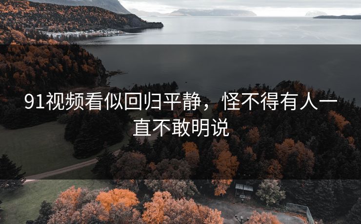 91视频看似回归平静，怪不得有人一直不敢明说