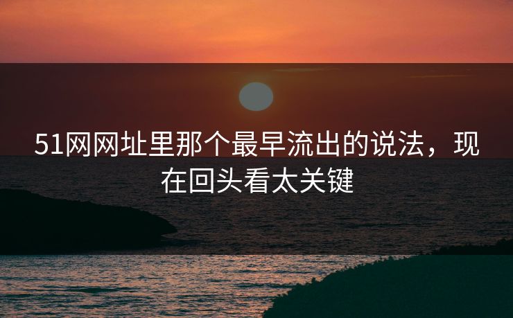 51网网址里那个最早流出的说法,现在回头看太关键