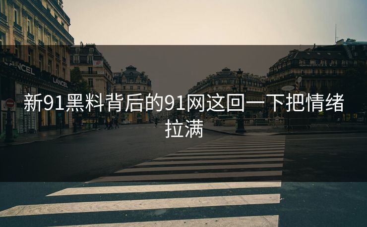 新91黑料背后的91网这回一下把情绪拉满
